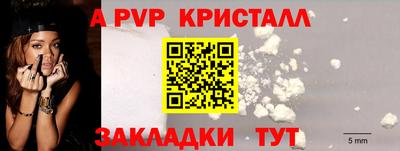 гидра Гагарин