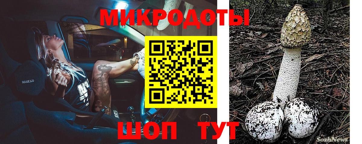 Псилоцибиновые грибы GOLDEN TEACHER  Вход с VPN  Можга  Галлюциногенные грибы Psilocybe 