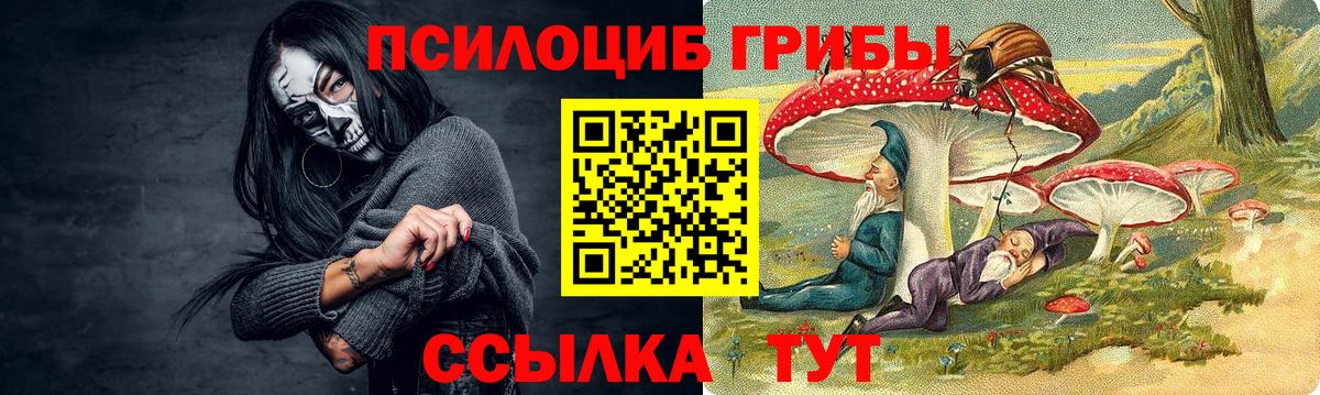 Мефедрон Можга