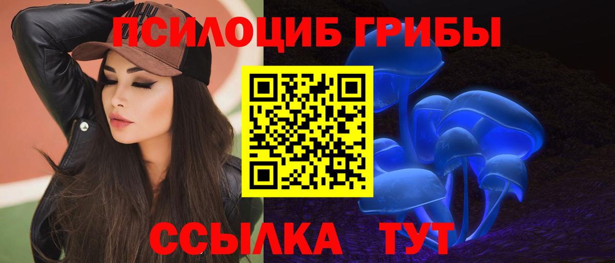 Галлюциногенные грибы Cubensis Можга