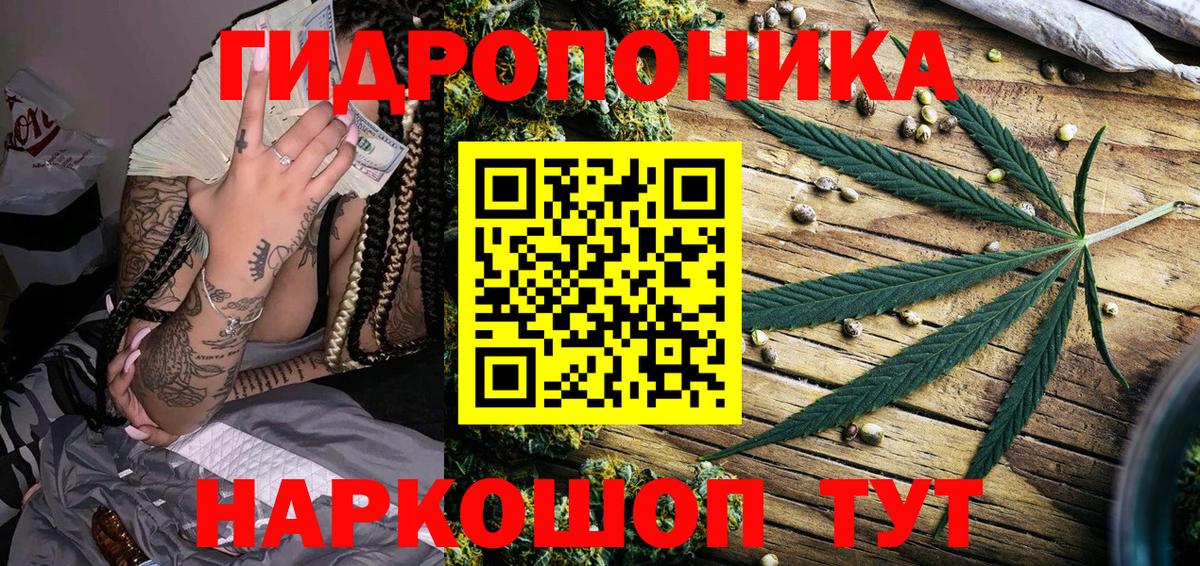 Можга  Бошки Шишки гибрид  Вход с VPN  Каннабис MAZAR  Марихуана планчик 